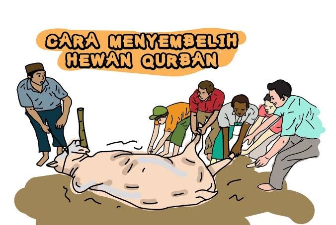 Pemotongan Hewan Qurban